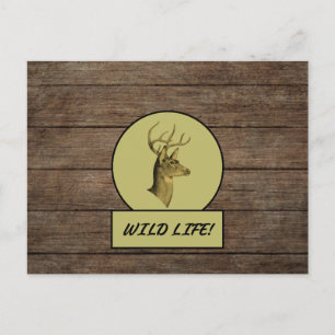 Carte postale en bois sombre de Buck Head