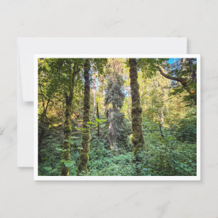 Carte Postale En chemin