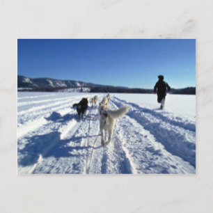 Carte Postale En cours