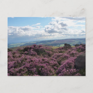 Carte postale en cuir rose et ciel bleu