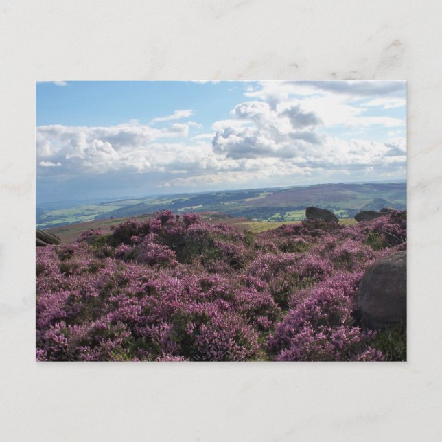 Carte postale en cuir rose et ciel bleu (Devant)