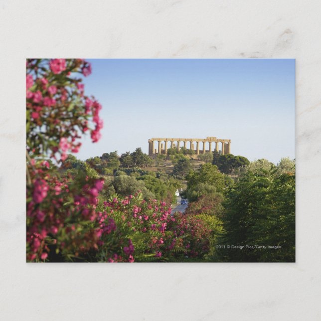 Carte Postale En Dehors De La Vallée Des Temples (Devant)