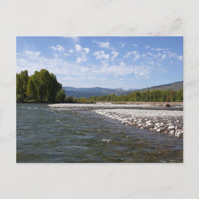 Carte Postale En descendant la rivière Snake I (Devant)