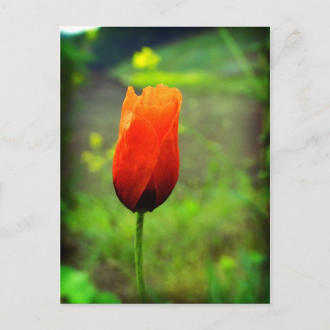 Carte Postale En flammes (Devant)