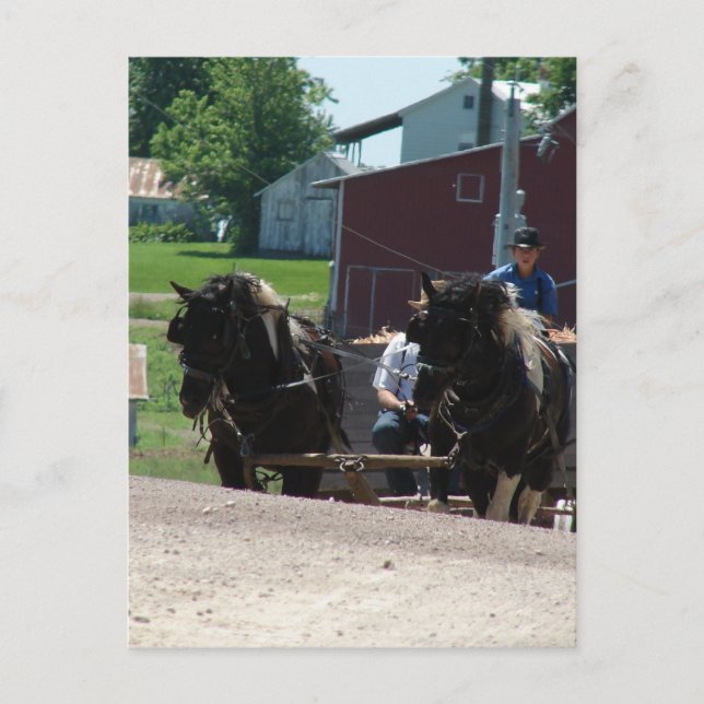 Carte Postale En haut de la colline (Devant)