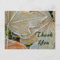 Carte postale en Merci d'érable congelé