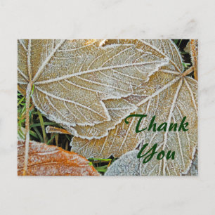 Carte postale en Merci d'érable congelé
