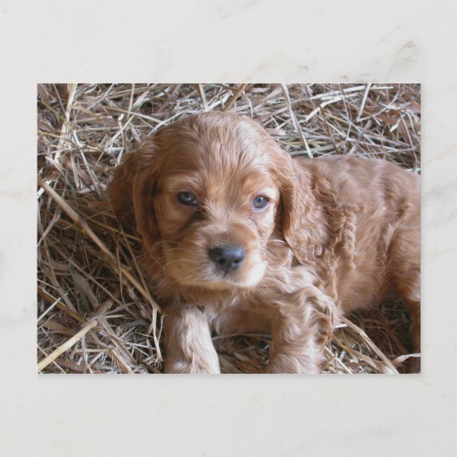 Carte Postale En pensant à toi... (Devant)