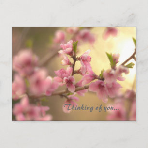 Carte Postale En pensant à toi...