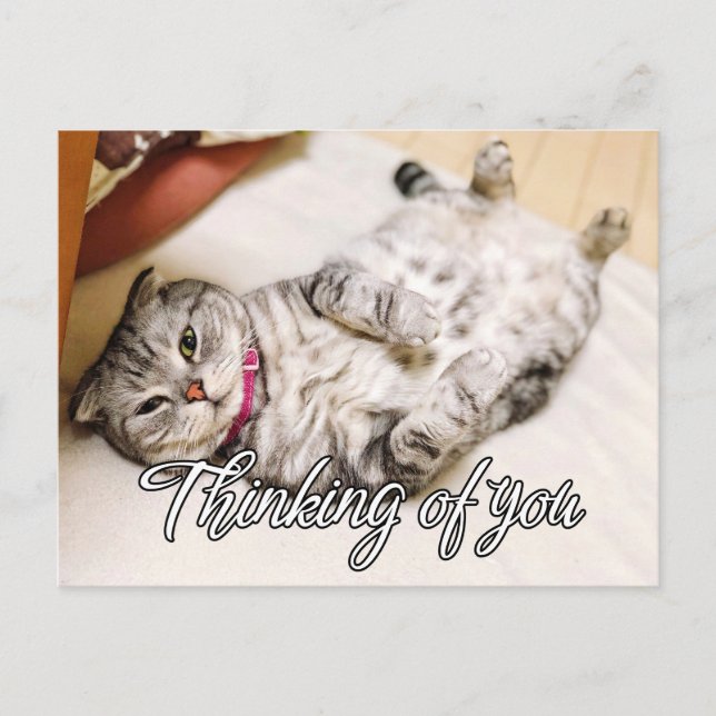 Carte Postale En pensant à vous - Mignon petit chat (Devant)