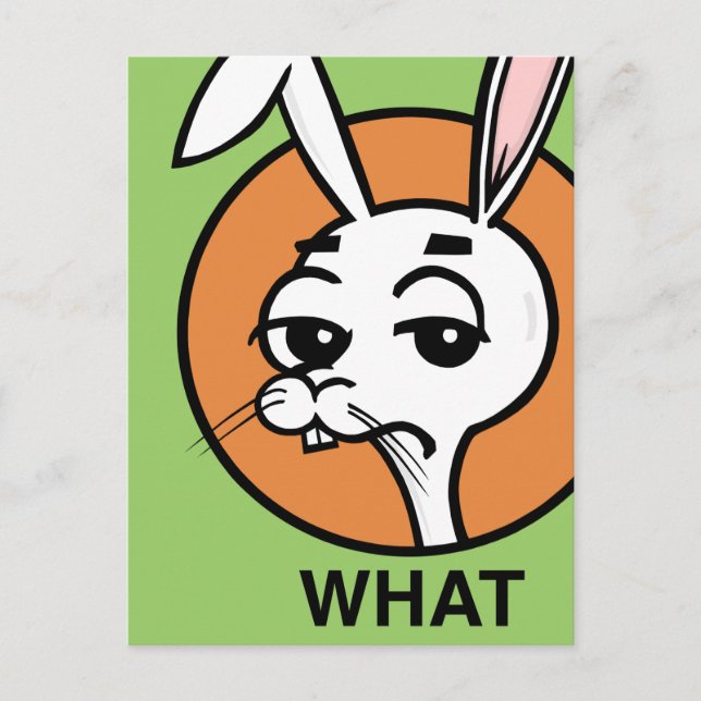 CARTE POSTALE EN RABBIT STYLE CARTOON FUNNY (Devant)