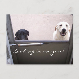 Carte Postale En regardant vers toi !