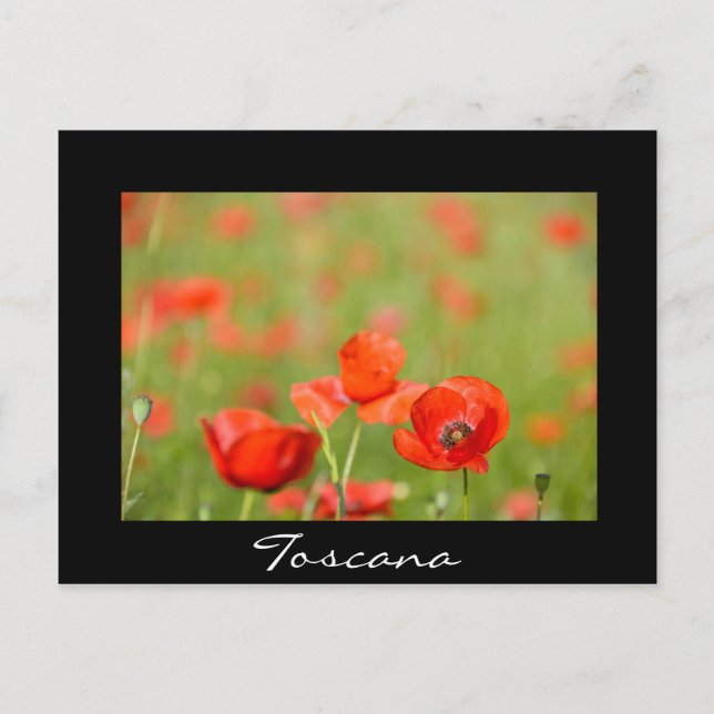 Carte postale en Toscane en texte noir (Devant)