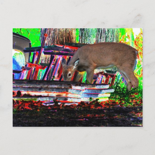 Carte Postale En vedette (Devant)