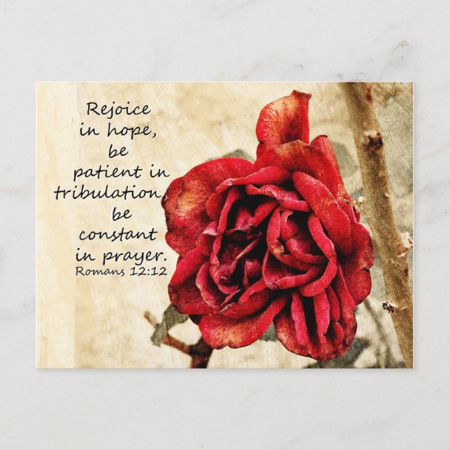 Carte Postale Encouragement Card (Devant)