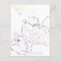 Carte postale Encre magique