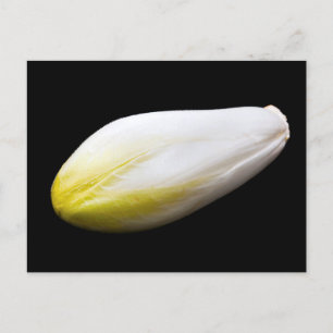 Carte Postale Endive belge