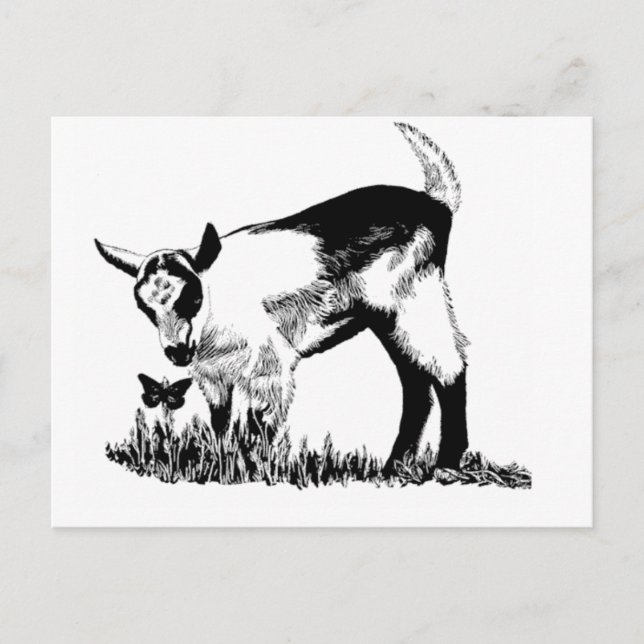 Carte Postale Enfant alpin (Devant)