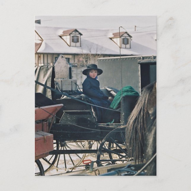 Carte Postale Enfant Amish en Buggy-Postcard (Devant)