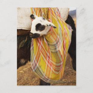 Carte Postale Enfant dans une sacoche