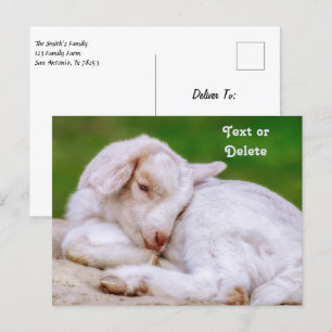 Carte Postale Enfant de chèvre pour bébé en sommeil personnalisé