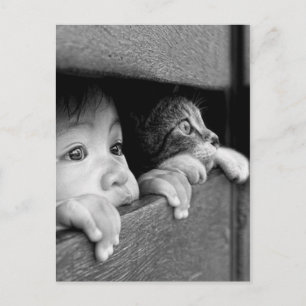 Carte Postale Enfant et chat