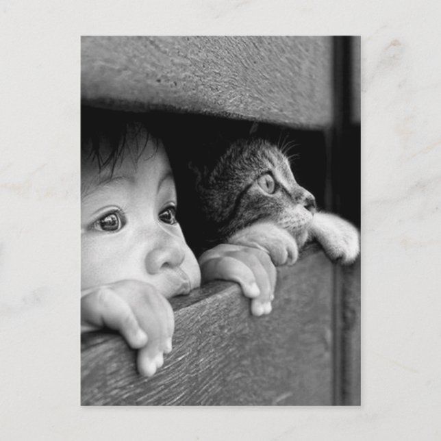 Carte Postale Enfant et chat (Devant)