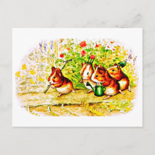 Carte postale-Enfants Art-Beatrix Potter 28