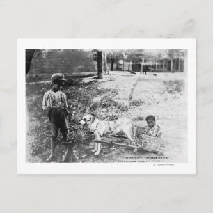 Carte Postale Enfants noirs avec chien tiré Panier photo