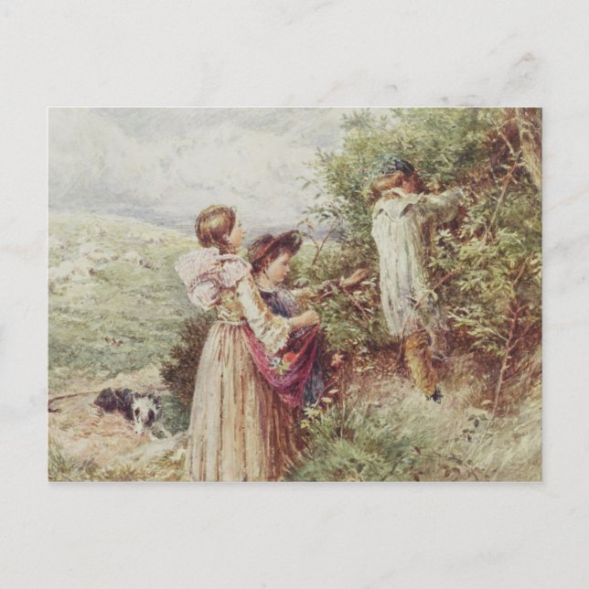 Carte Postale Enfants ramassant des mûres, 19e siècle (Devant)