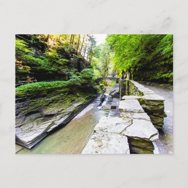 Carte Postale Enfield Glen, Robert H Treman State Park, NY (Devant)