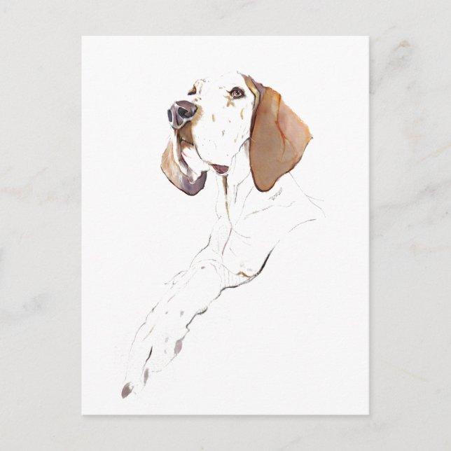 Carte postale English Pointer, Peinture à l'aquare (Devant)