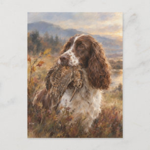 Carte Postale English Springer Spaniel