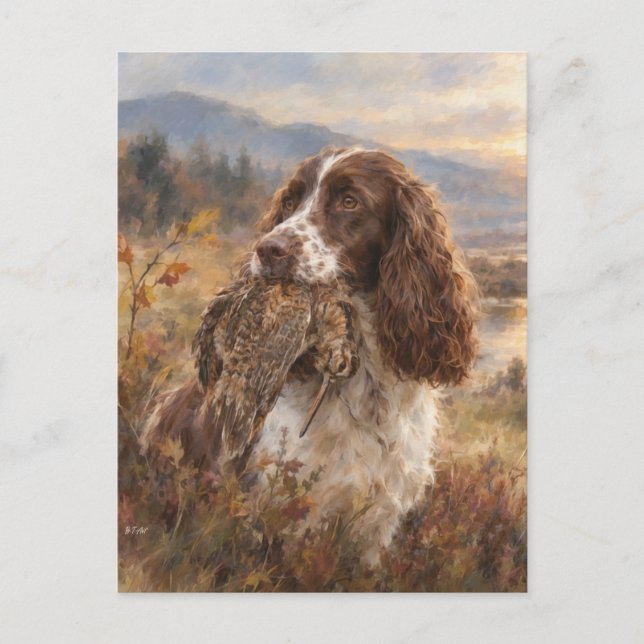 Carte Postale English Springer Spaniel  (Devant)
