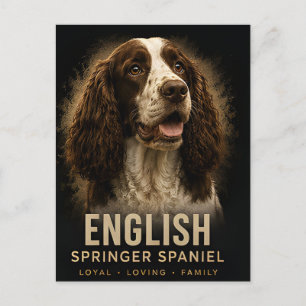 Carte Postale English Springer Spaniel Chien de Famille Loyal et