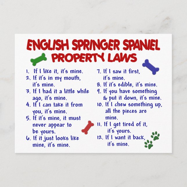 Carte Postale ENGLISH SPRINGER SPANIEL Property Laws 2 (Devant)