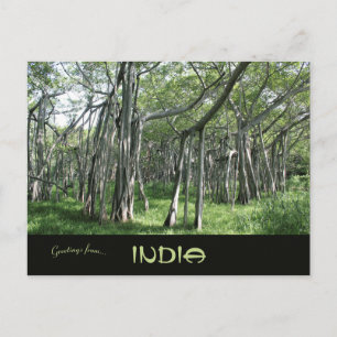 Carte Postale Énorme Banyan Tree Chennai Tamil Nadu India