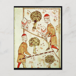 Carte Postale Enquêtes et délimitation des terres