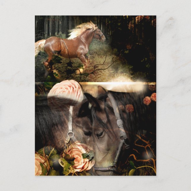 Carte Postale Enraciné dans l'Amour de Dieu (Devant)