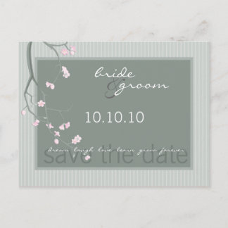 Carte Postale ENREGISTRER LA DATE :: fleur de cerisiers