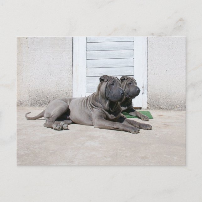 Carte Postale Ensemble (Devant)