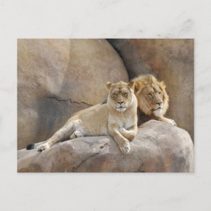 Carte Postale Ensemble