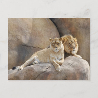 Carte Postale Ensemble