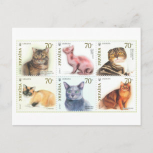 Carte Postale Ensemble de timbres-poste vintage de chats d'Ukrai