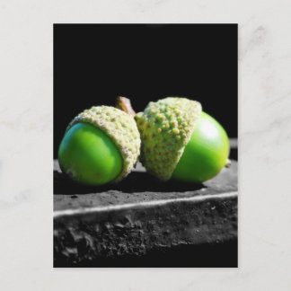 Carte Postale Ensemble pour toujours