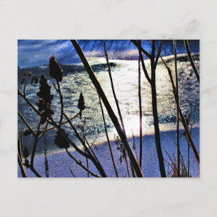 Carte Postale Ensoleillement de janvier sur la neige de glace Su