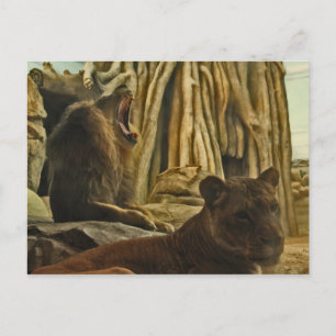 Carte Postale Entendez-moi Roar !