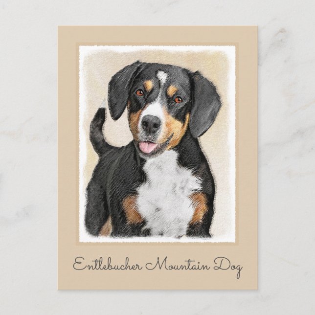 Carte Postale Entlebucher Mountain Dog Peinture - Art original (Devant)
