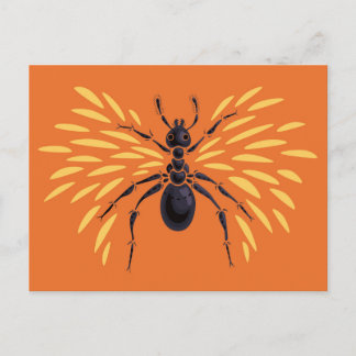 Carte Postale Entomologie orange d'Insecte de la fourrure