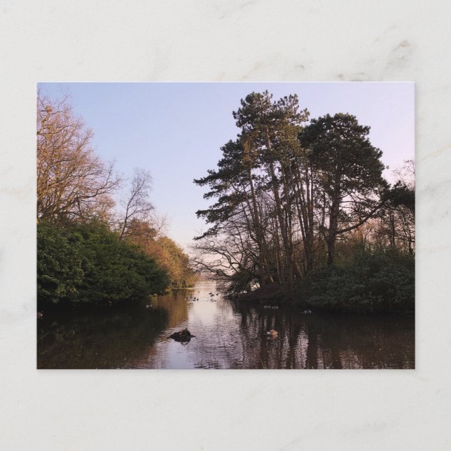 Carte Postale Entre Les Îles, Lac Roath Park, Cardiff. (Devant)